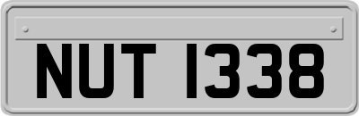 NUT1338