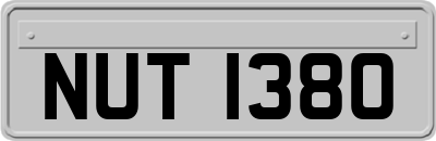 NUT1380