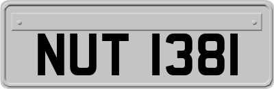 NUT1381