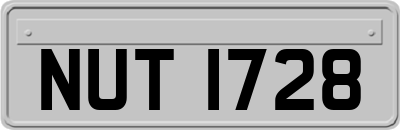 NUT1728