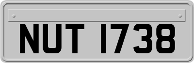 NUT1738