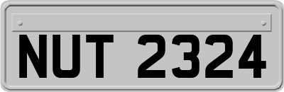NUT2324