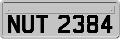 NUT2384