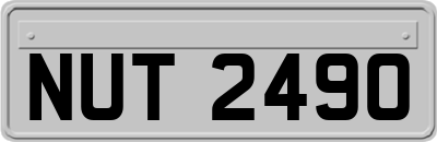 NUT2490