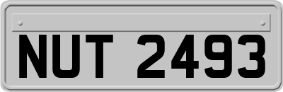 NUT2493