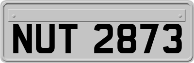 NUT2873