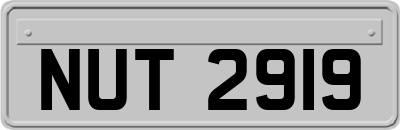 NUT2919