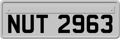 NUT2963