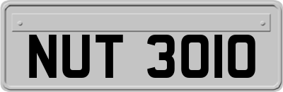 NUT3010