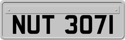 NUT3071