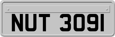 NUT3091