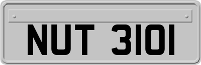NUT3101