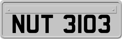 NUT3103