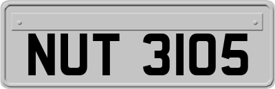 NUT3105