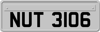 NUT3106