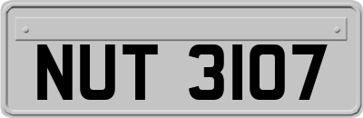 NUT3107