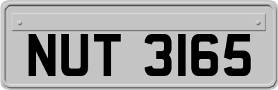 NUT3165