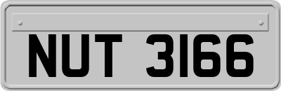 NUT3166