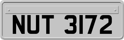 NUT3172