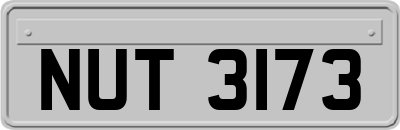 NUT3173
