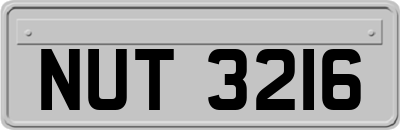 NUT3216