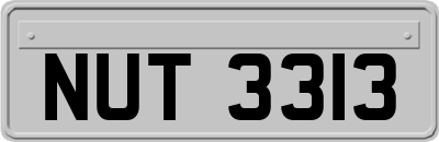 NUT3313