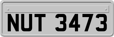 NUT3473