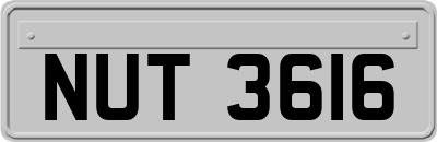 NUT3616