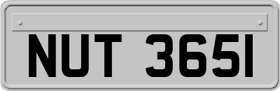 NUT3651
