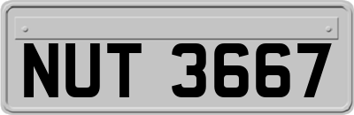 NUT3667