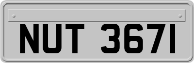 NUT3671