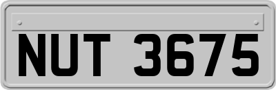 NUT3675