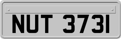 NUT3731