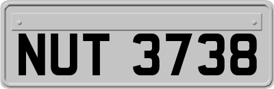 NUT3738