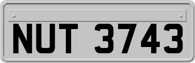 NUT3743
