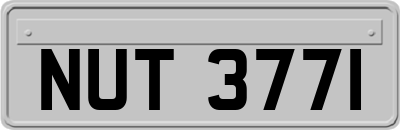 NUT3771