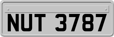 NUT3787