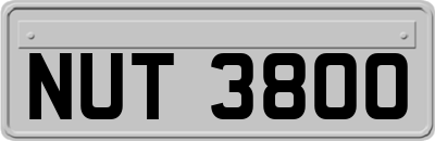 NUT3800