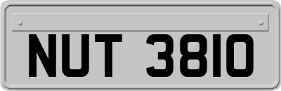 NUT3810