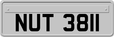 NUT3811
