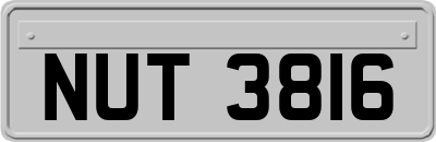 NUT3816