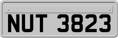 NUT3823