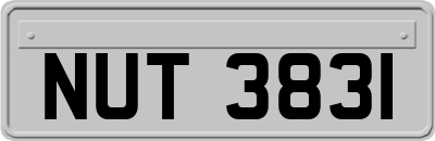 NUT3831