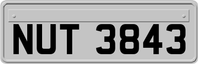 NUT3843