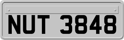 NUT3848