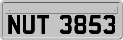 NUT3853