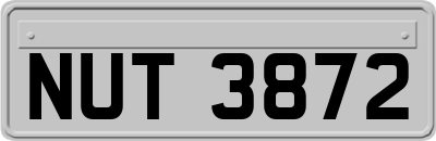 NUT3872
