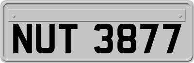 NUT3877