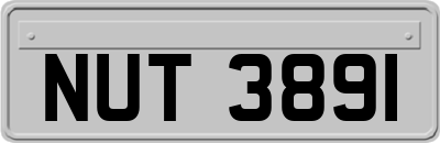 NUT3891