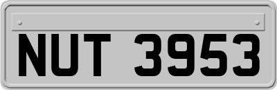 NUT3953
